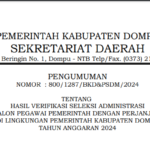 PENGUMUMAN PRA SANGGAH SELEKSI ADMINISTRASI PPPK KAB. DOMPU T.A. 2024